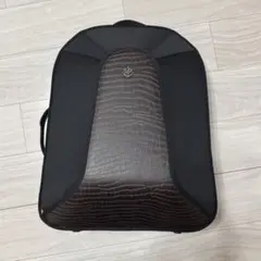 2026年最新】ホルン ケース アレキサンダーの人気アイテム - メルカリ