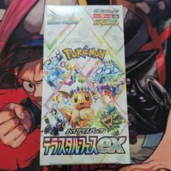 2026年最新】テラスタルフェスex BOXの人気アイテム - メルカリ