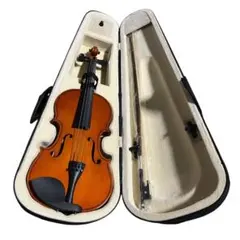 2026年最新】バイオリン4/4の人気アイテム - メルカリ