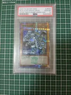2026年最新】青眼の白龍 東京ドーム psa10の人気アイテム - メルカリ