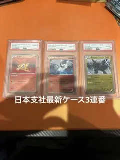 2026年最新】レシラム ゼクロム 連番の人気アイテム - メルカリ