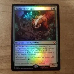 2026年最新】アナグマモグラの仔の人気アイテム - メルカリ