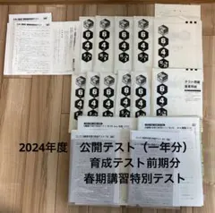 2026年最新】日能研 公開模試 6年の人気アイテム - メルカリ
