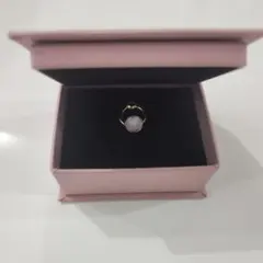 2026年最新】lanie ピアスの人気アイテム - メルカリ