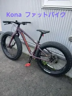 2026年最新】KONA WOの人気アイテム - メルカリ
