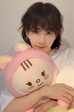 2026年最新】ジョンハン ぬいぐるみ トラムの人気アイテム - メルカリ