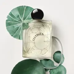 2026年最新】DYPTIQUE リリフェアの人気アイテム - メルカリ