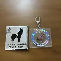 2026年最新】おがわじゅり jraの人気アイテム - メルカリ