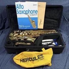 2026年最新】アルトサックス YAS-31の人気アイテム - メルカリ