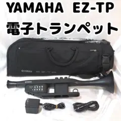 2026年最新】電子トランペットの人気アイテム - メルカリ