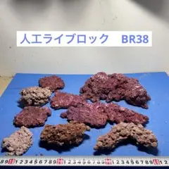 2026年最新】人工 ライブロックの人気アイテム - メルカリ