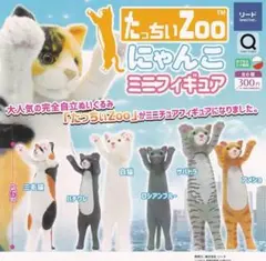 2026年最新】たっちzooにゃんこの人気アイテム - メルカリ
