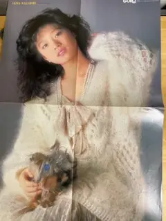 2026年最新】中森明菜 ポスターの人気アイテム - メルカリ