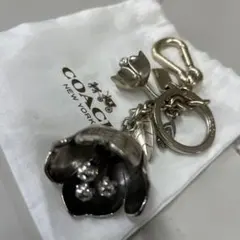 2026年最新】コーチ ティーローズ キーホルダーの人気アイテム - メルカリ