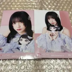 2026年最新】野口衣織 写真の人気アイテム - メルカリ