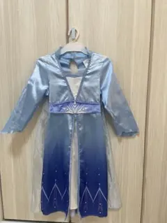 2026年最新】アナと雪の女王 ドレス ディズニーストア エルサの人気