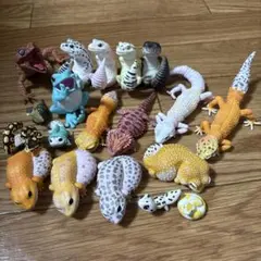 2026年最新】動物の惑星 シークレットの人気アイテム - メルカリ