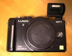 2026年最新】lumix gf1 バッテリーの人気アイテム - メルカリ