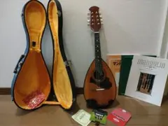 2026年最新】M-215 マンドリンの人気アイテム - メルカリ