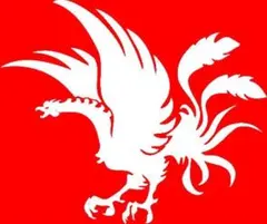 2026年最新】日本大学phoenixの人気アイテム - メルカリ