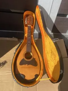 2026年最新】suzuki マンドリンの人気アイテム - メルカリ