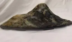 2026年最新】盆石の人気アイテム - メルカリ