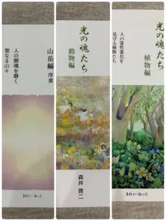 2026年最新】光の魂たち_山岳編の人気アイテム - メルカリ