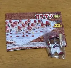 2026年最新】カプケシの人気アイテム - メルカリ