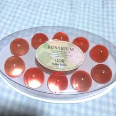 2026年最新】芳純 資生堂 ばら園の人気アイテム - メルカリ