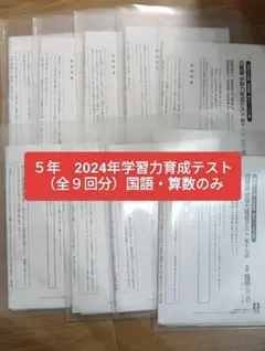 2026年最新】日能研 育成テスト 5年の人気アイテム - メルカリ