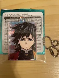 2026年最新】柱展 義勇 オーロラの人気アイテム - メルカリ