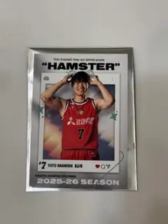 2026年最新】名古屋ダイヤモンドドルフィンズ ファンクラブの人気