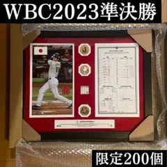2026年最新】大谷翔平 フォトミント wbcの人気アイテム - メルカリ
