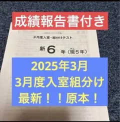 2026年最新】サピックス 新6年組分けテストの人気アイテム - メルカリ