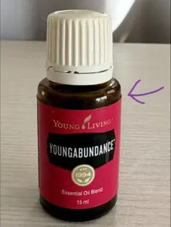 2026年最新】ヤングリビング ディフューザーの人気アイテム - メルカリ