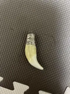 2026年最新】クマの牙の人気アイテム - メルカリ