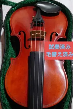 2026年最新】オールドバイオリン 4/4の人気アイテム - メルカリ