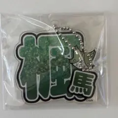 2026年最新】猫のひたいほどワイドの人気アイテム - メルカリ