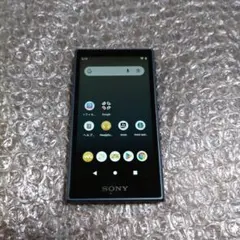 2026年最新】ソニー SONY NW-A107の人気アイテム - メルカリ