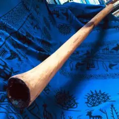 2026年最新】ディジュリドゥの人気アイテム - メルカリ