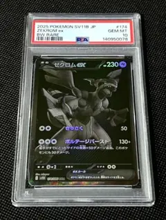 2026年最新】ゼクロムEX psa10の人気アイテム - メルカリ