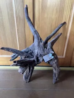 2026年最新】ホーンウッド adaの人気アイテム - メルカリ