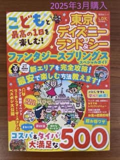 超レア商品】東京ディズニーシー キャラクター付きTDS地図 金色額付き