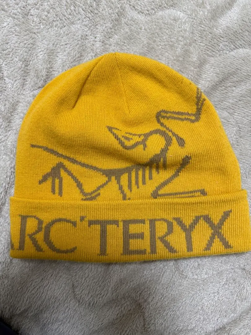 2026年最新】アークテリクス ビーニー 黄色の人気アイテム - メルカリ