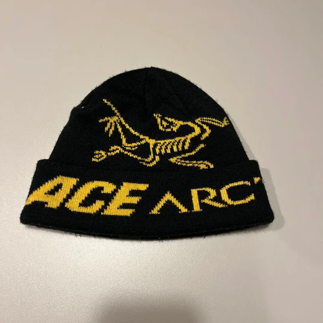 2026年最新】palace arc'teryx ビーニーの人気アイテム - メルカリ