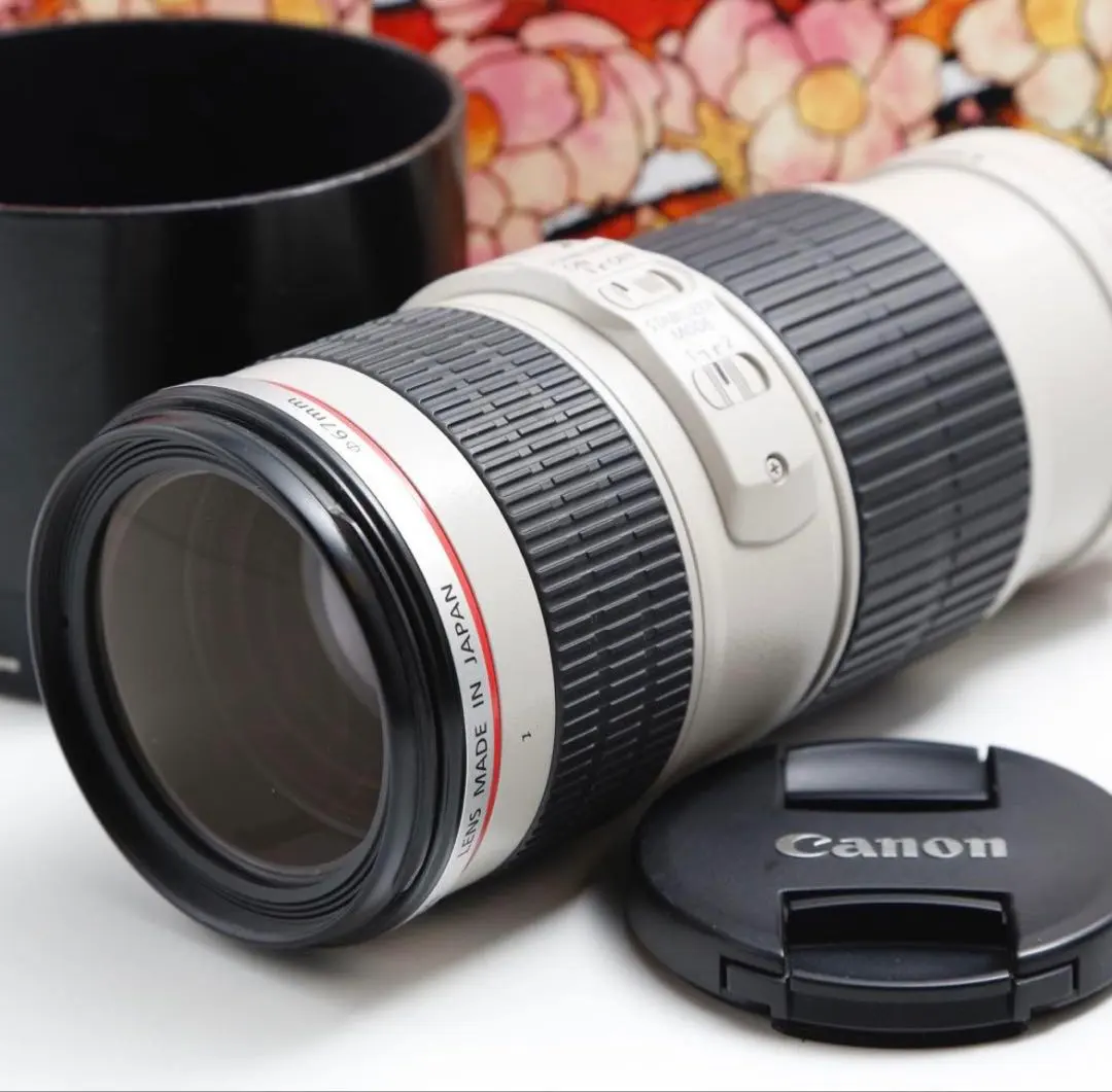 2026年最新】ef70 200mm f4l usm 中古の人気アイテム - メルカリ