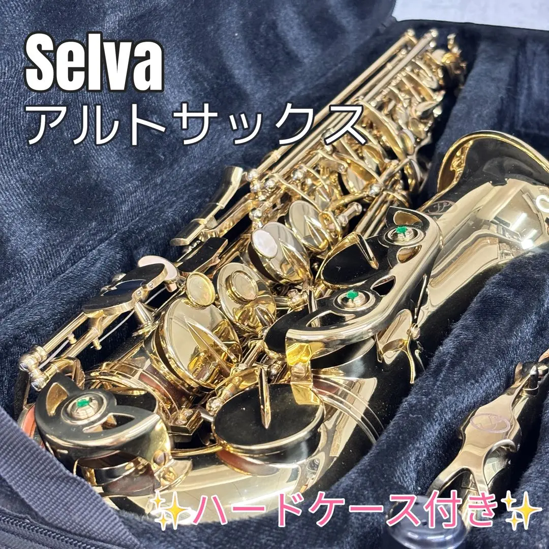 2026年最新】selva サックスの人気アイテム - メルカリ