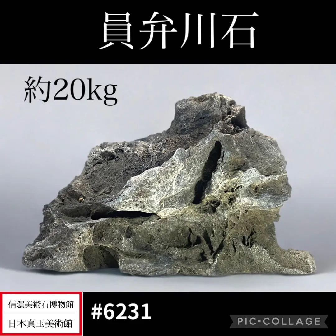 2026年最新】太湖石の人気アイテム - メルカリ