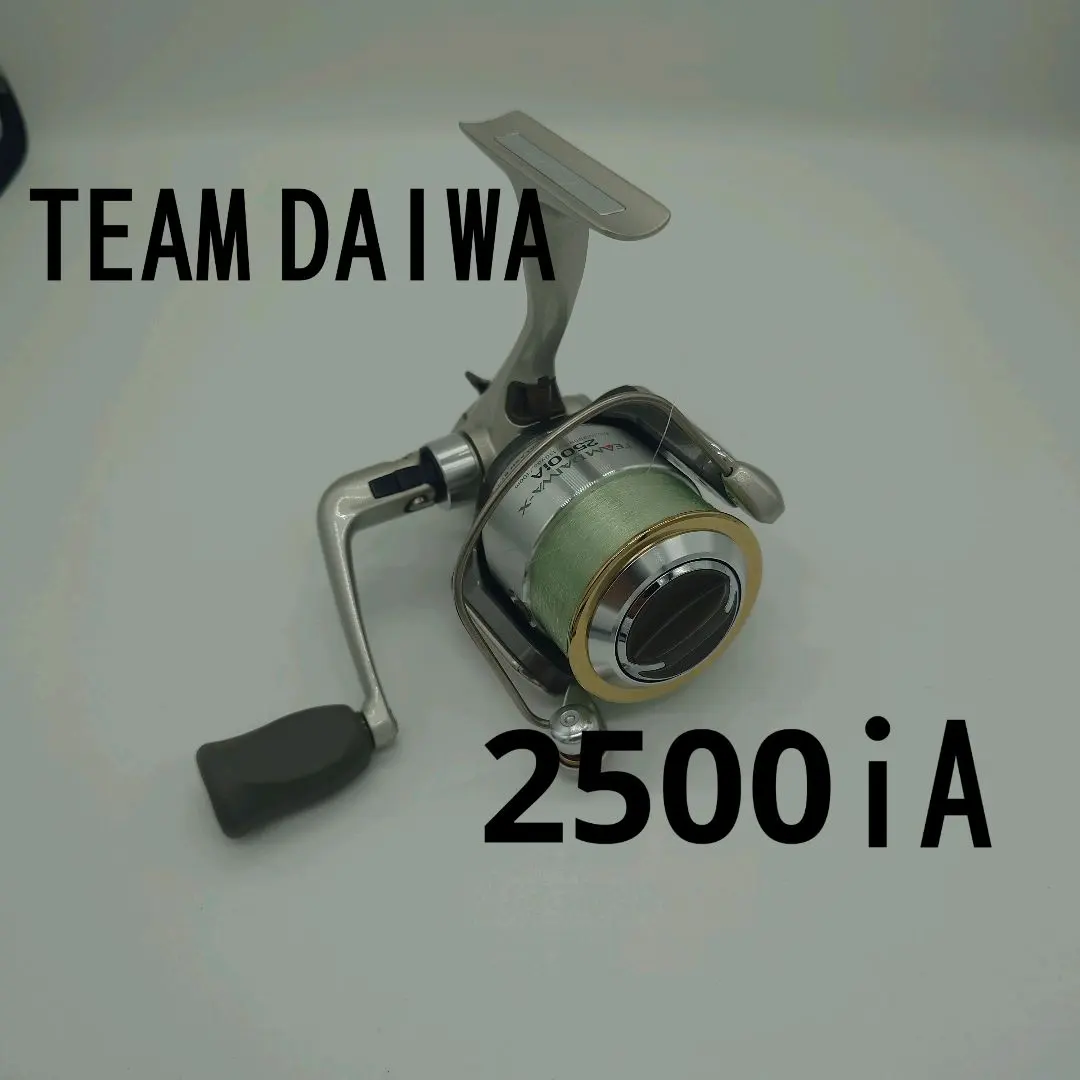2026年最新】チームダイワ X 2500IAの人気アイテム - メルカリ