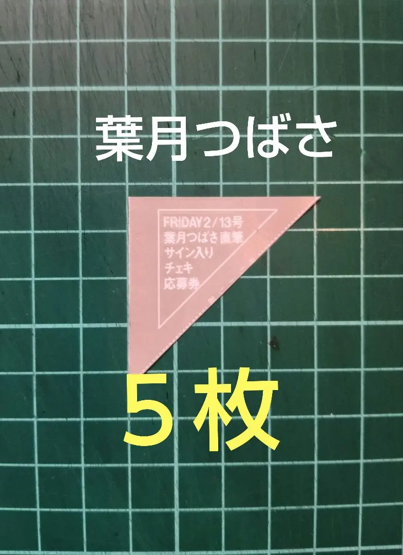 2026年最新】葉月つばさ サインの人気アイテム - メルカリ
